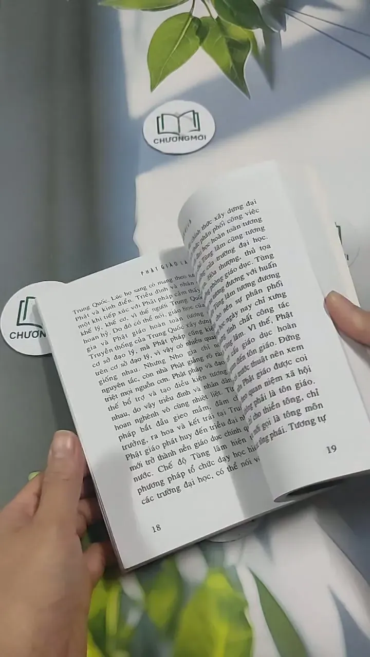 Phật Giáo Là Gì? 715592