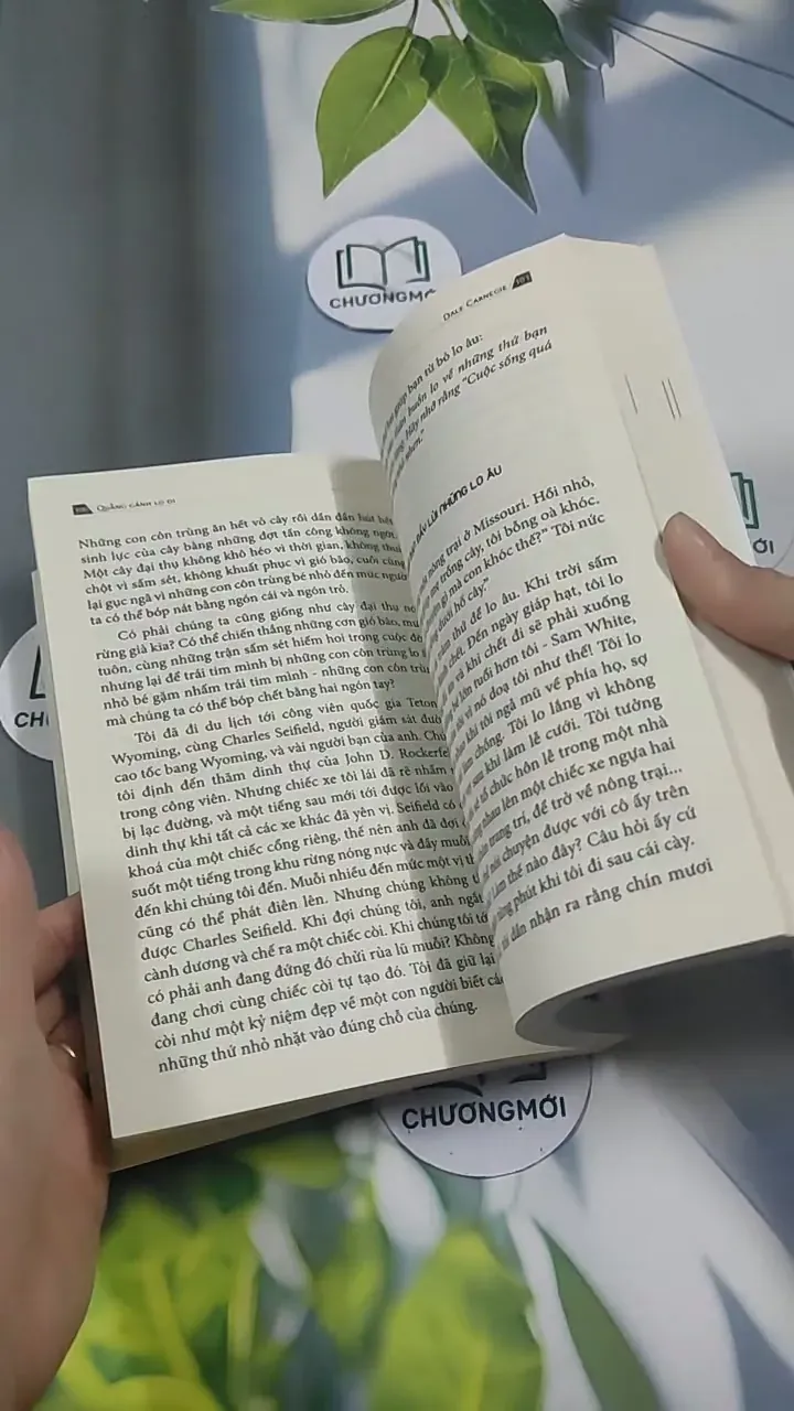 Quẳng Gánh Lo Đi Vui Sống Trong Mọi Hoàn Cảnh - Dale Carnegie 715602