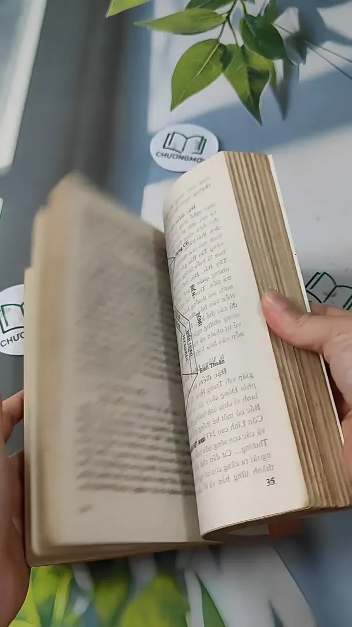 Cơ Sở Văn Hóa Việt Nam - Lê Văn Chưởng 727231