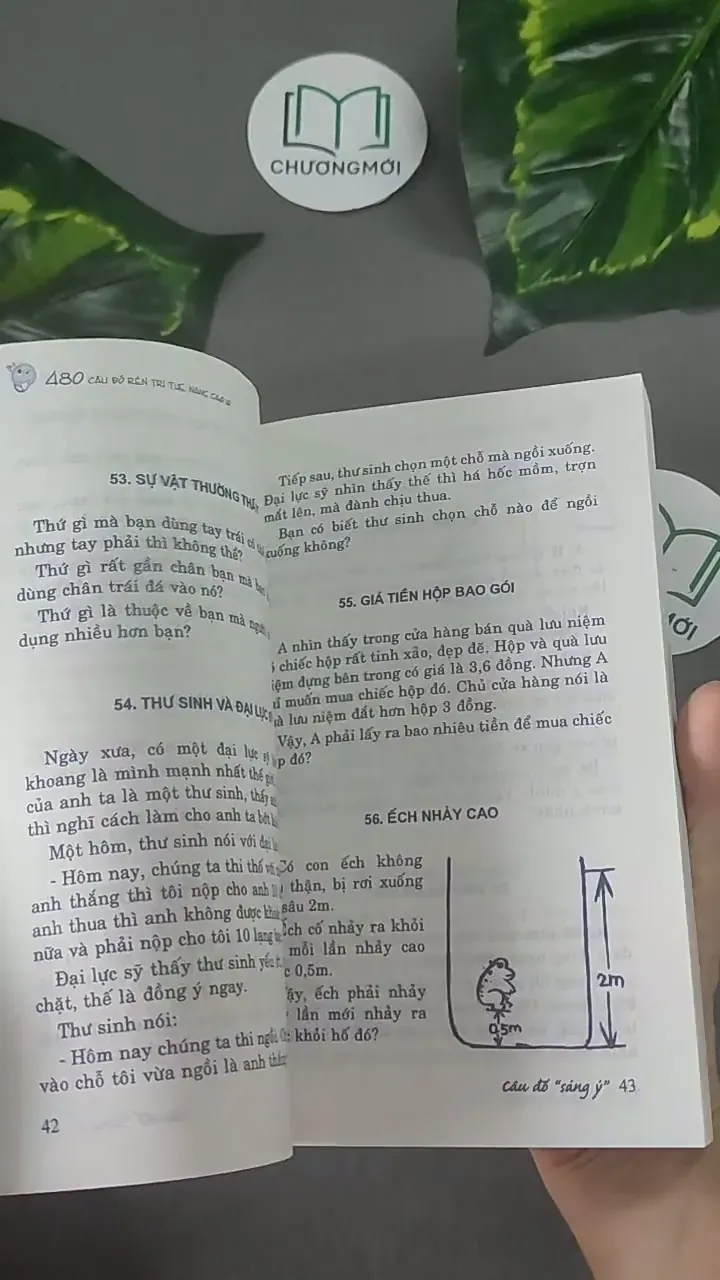 480 Câu Đố Rèn Trí Tuệ Nâng Cao IQ - 2 -  604613