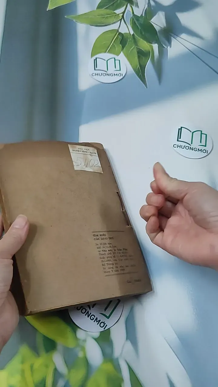 [XƯA] Tìm Hiểu Các Loài Thú (1988) - Lê Vũ Khôi 775993