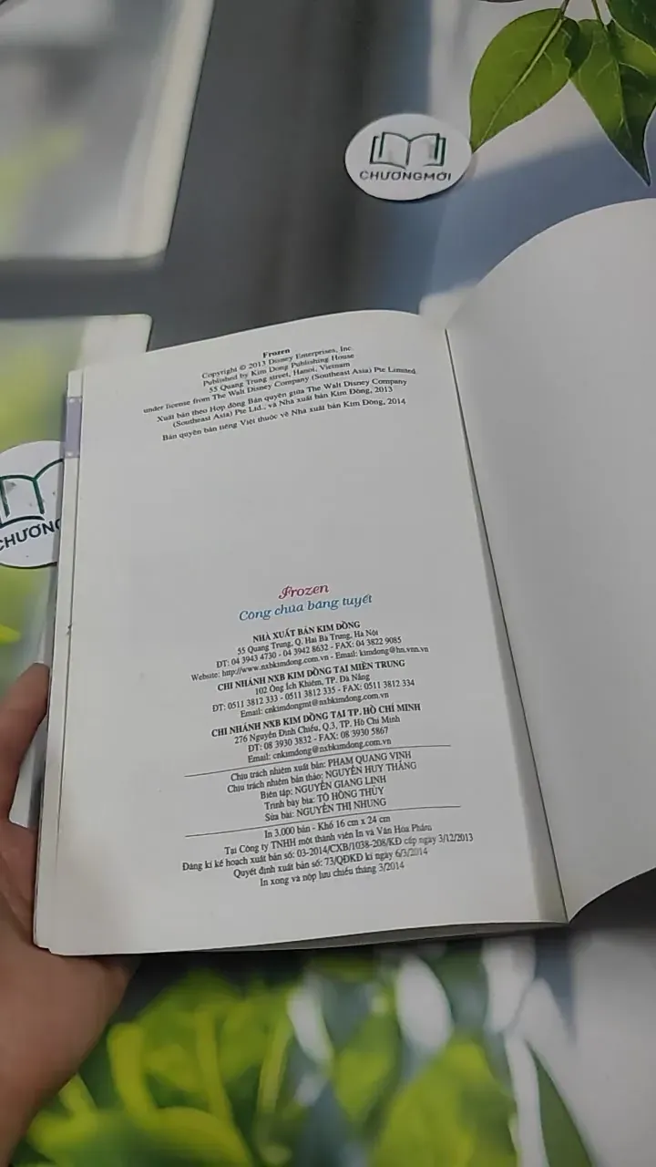 Frozen Công Chúa Băng Tuyết 727375