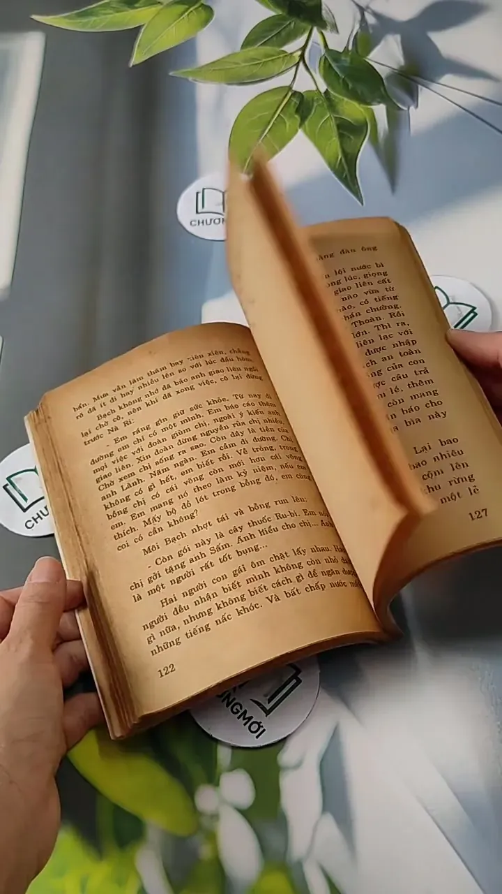 Những Người Đi Và Hai Người Ở Lại - Đinh Quang Nhã 713810