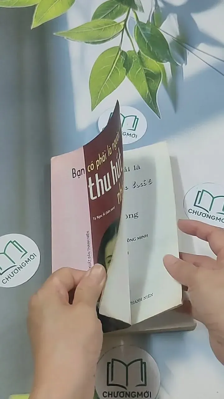 Bạn có phải là người thu hút nhất - Tạ Ngọc Ái 694943