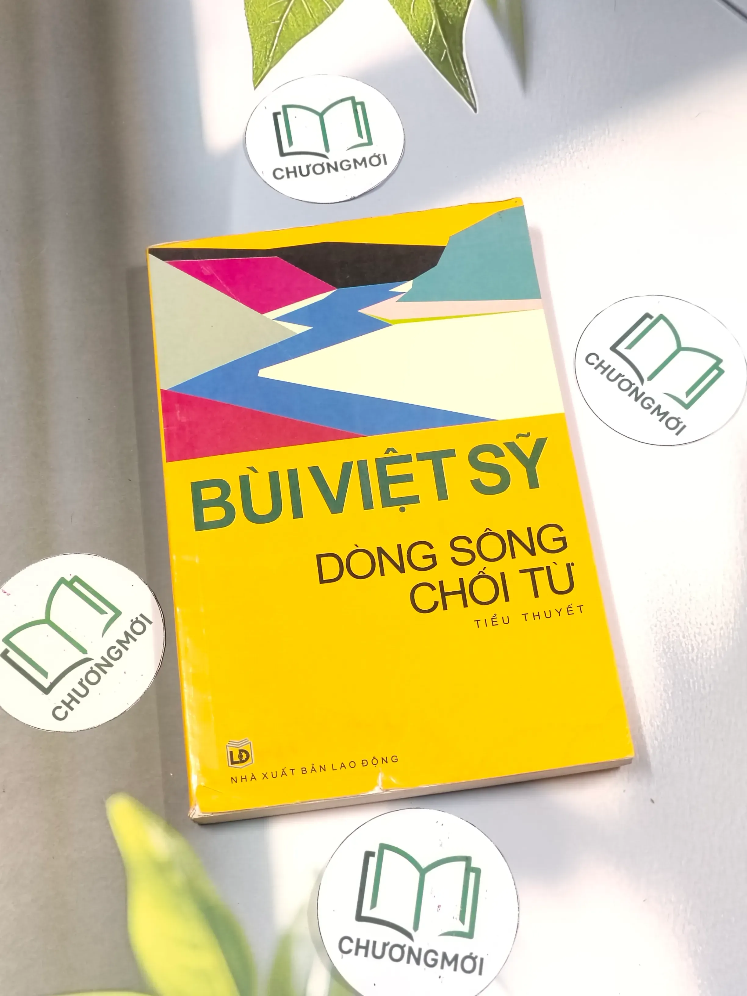 Dòng sông chối từ - Bùi Việt Sỹ