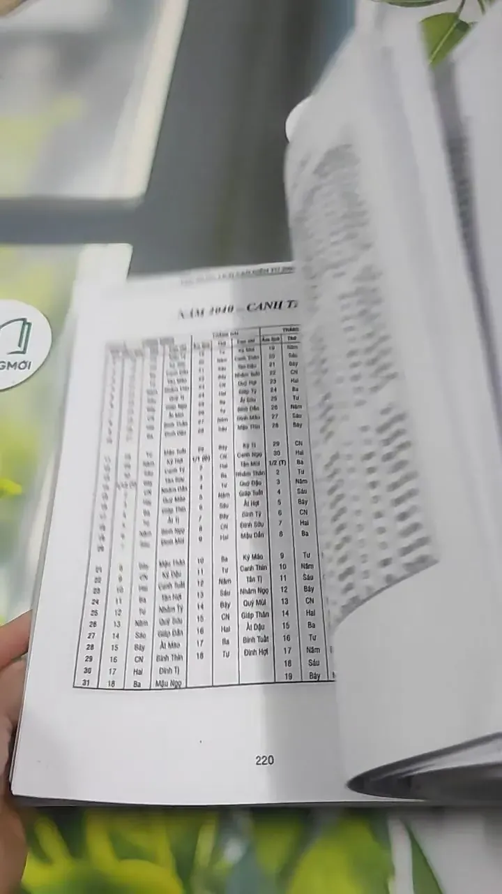 Lịch Vạn Niên Từ Năm 2000 - 2100 - Diệu Tuệ 727382