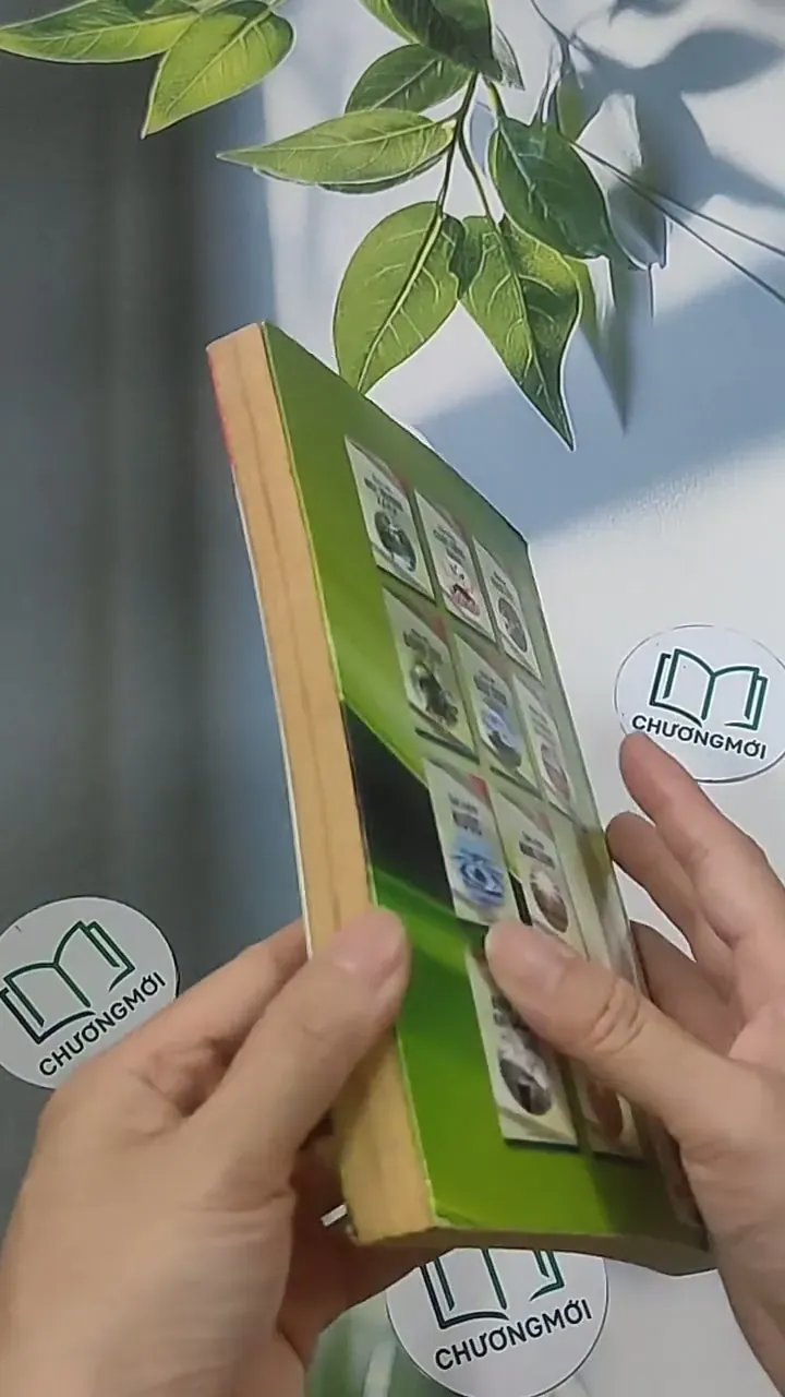 Xây dựng cuộc sống xanh -  Kim Phụng 694915