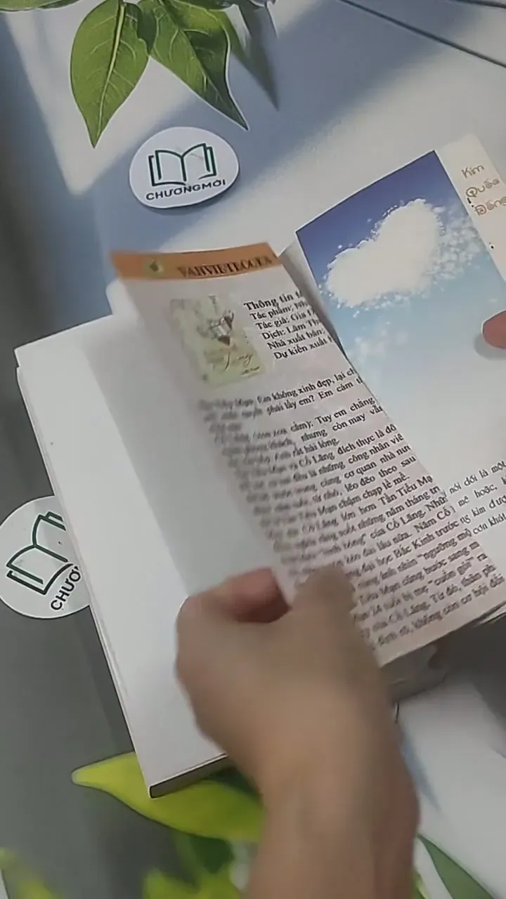 Sorry Sorry - Kim Quốc Đống 705548