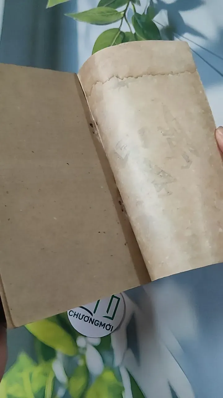 [MIỄN PHÍ BỌC SÁCH] [XƯA] Dế Mèn Phiêu Lưu Ký (1981) - Tô Hoài 775974