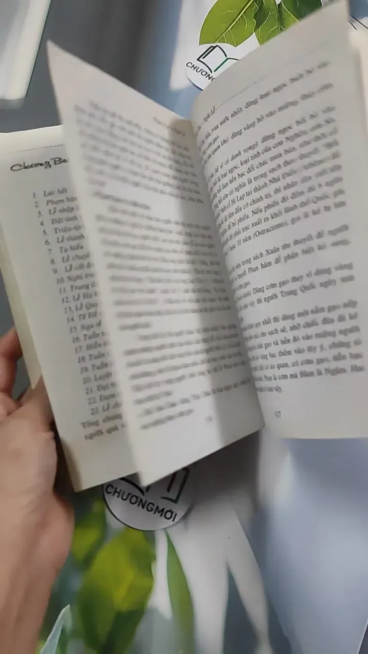 Phong Tục Nghi Lễ Thọ Mai Gia Lễ - Nguyên Quân - Hoàng Long 776189