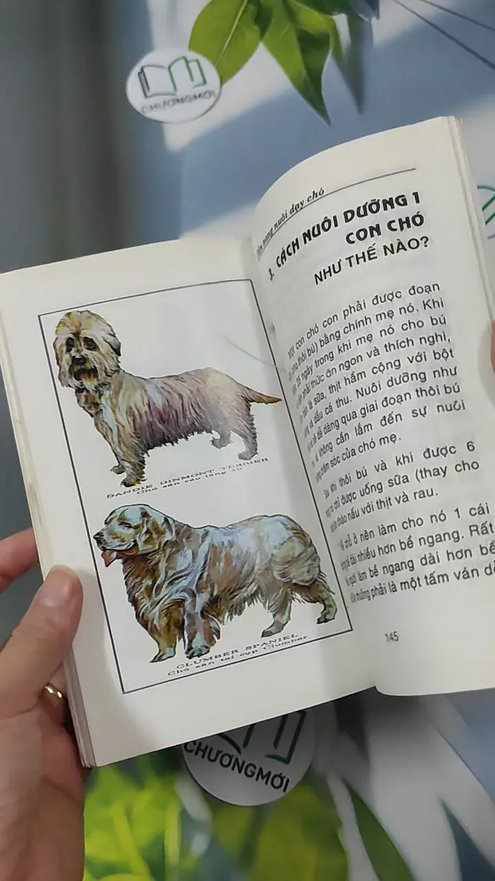 [XƯA] Cẩm Nang Nuôi Dạy Chó (1999) - Hoàng Long-Đặng Đức Trinh 780854