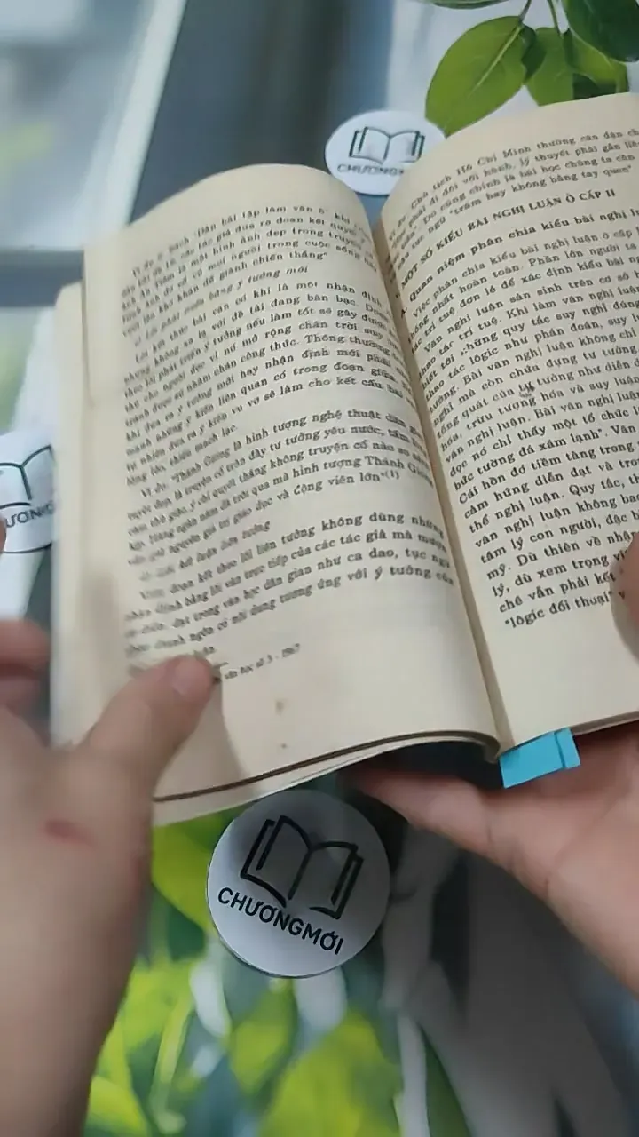 Một Số Vấn Đề Về Văn Nghị Luận Ở Cấp Hai - GS Nguyễn Thanh Hùng 727338