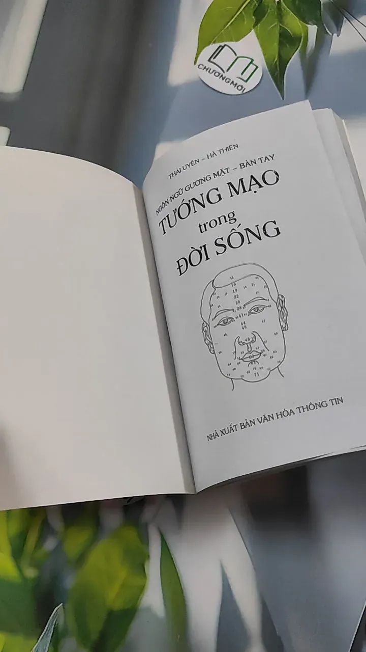 Tướng Mạo Trong Cuộc Sống - Thái Uyên & Hà Thiên 776128
