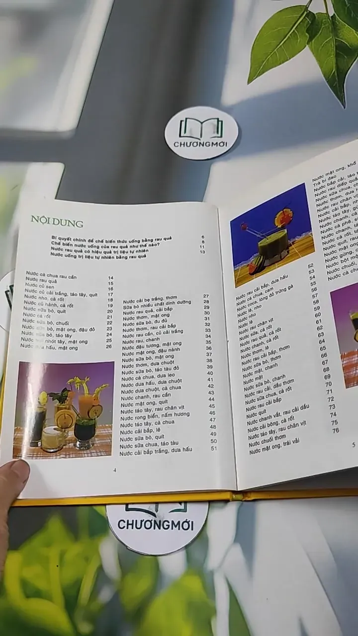 Chế Biến Nước Rau Quả Tăng Cường Sức Khỏe - Ánh Ngọc 727305