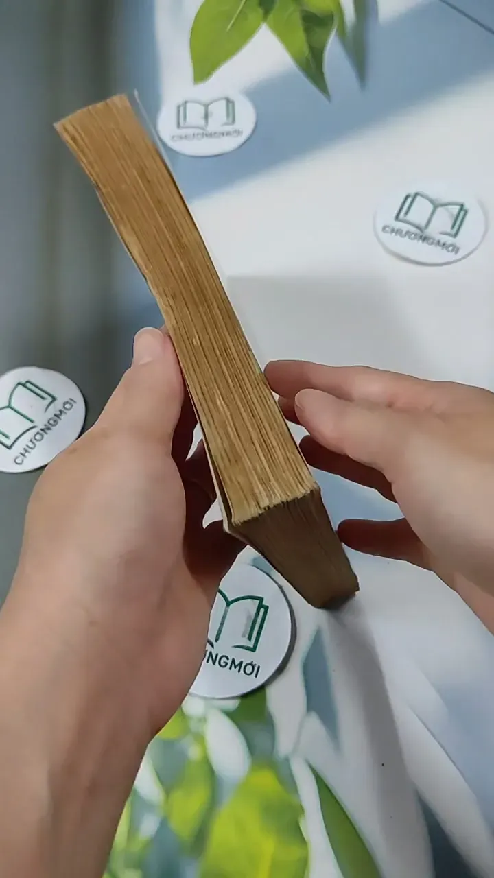 Những Mối Tình Đan Xen - Vũ Đình Bình - Phạm Sông Hồng 713835