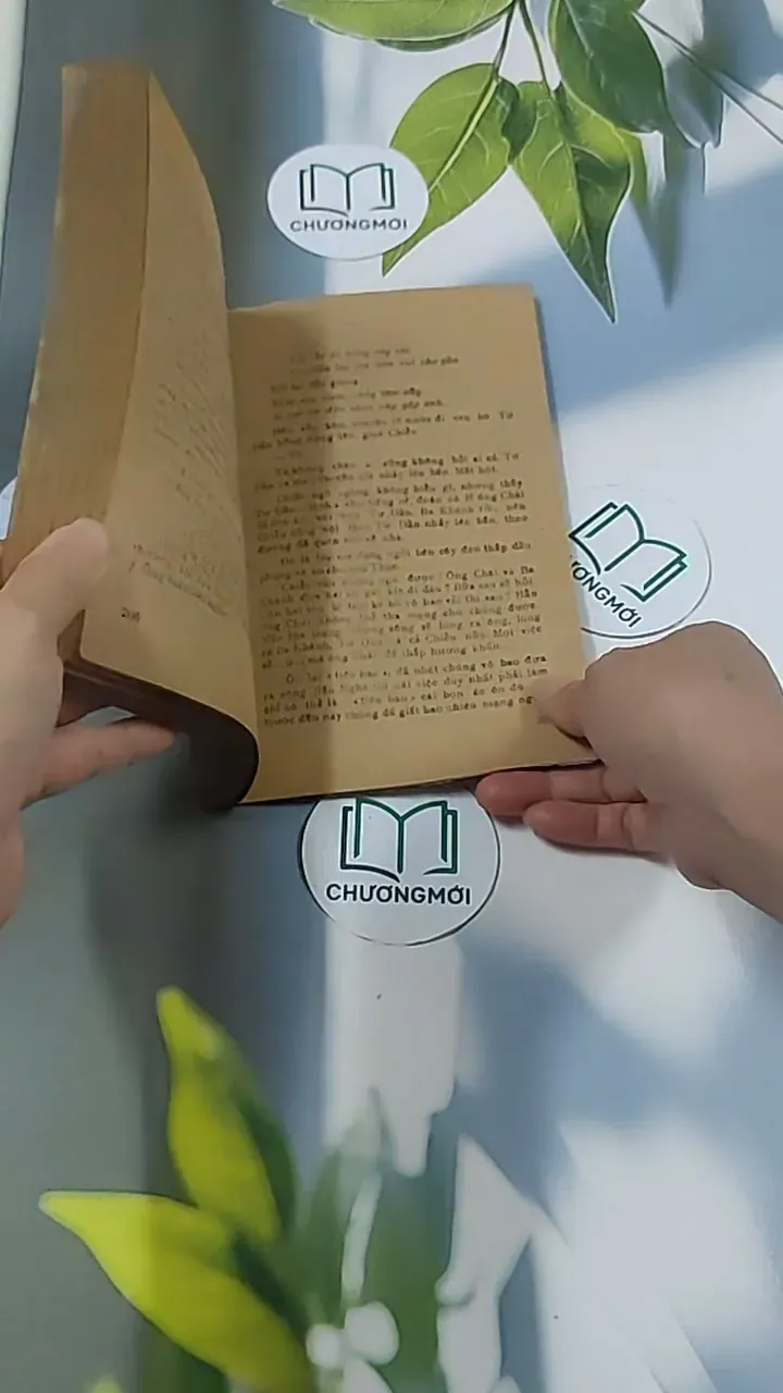 Tuổi Xanh Nguyễn Đình Chiểu (1987) - Thái Vũ 674974