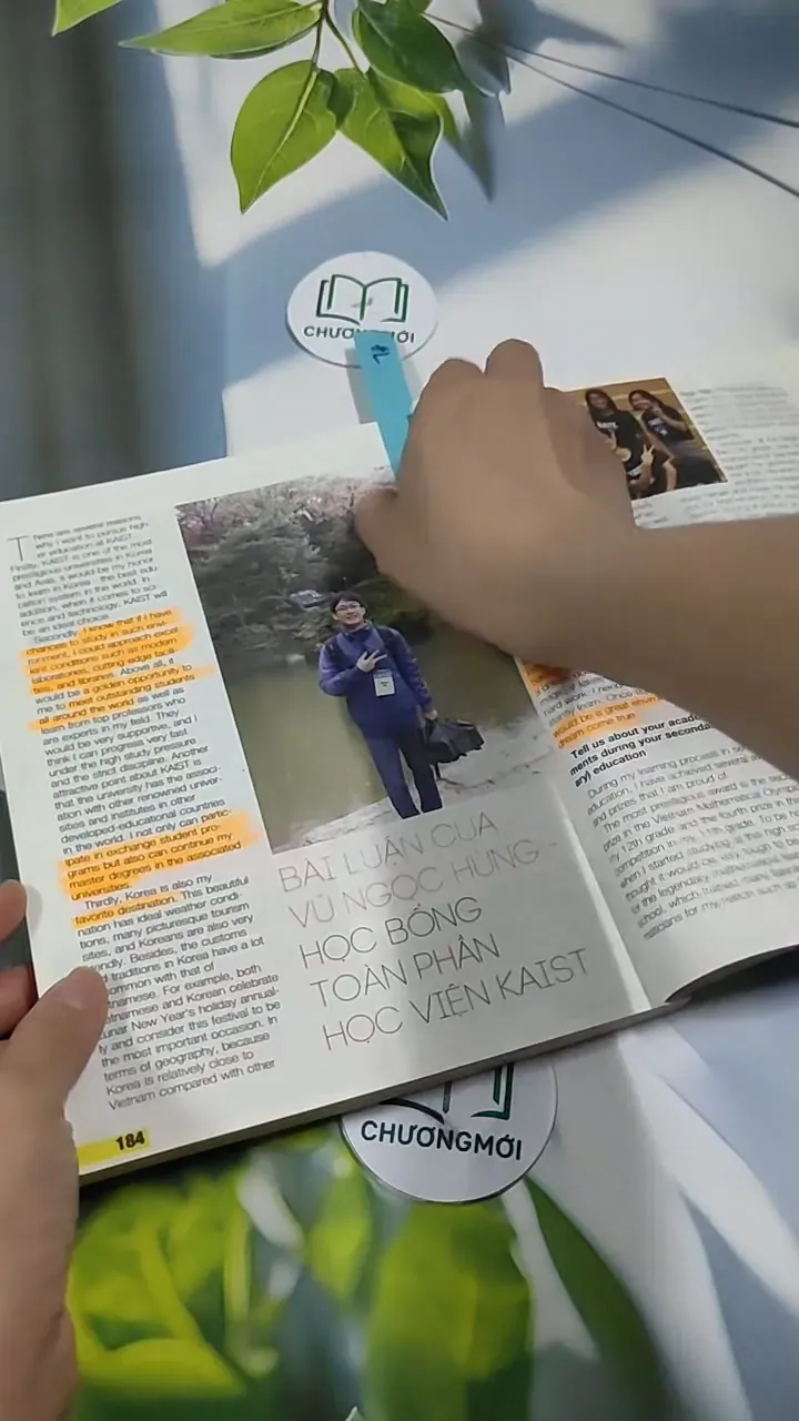 Hàn Quốc: Đi về phía bình minh - Hoa Học Trò 707308