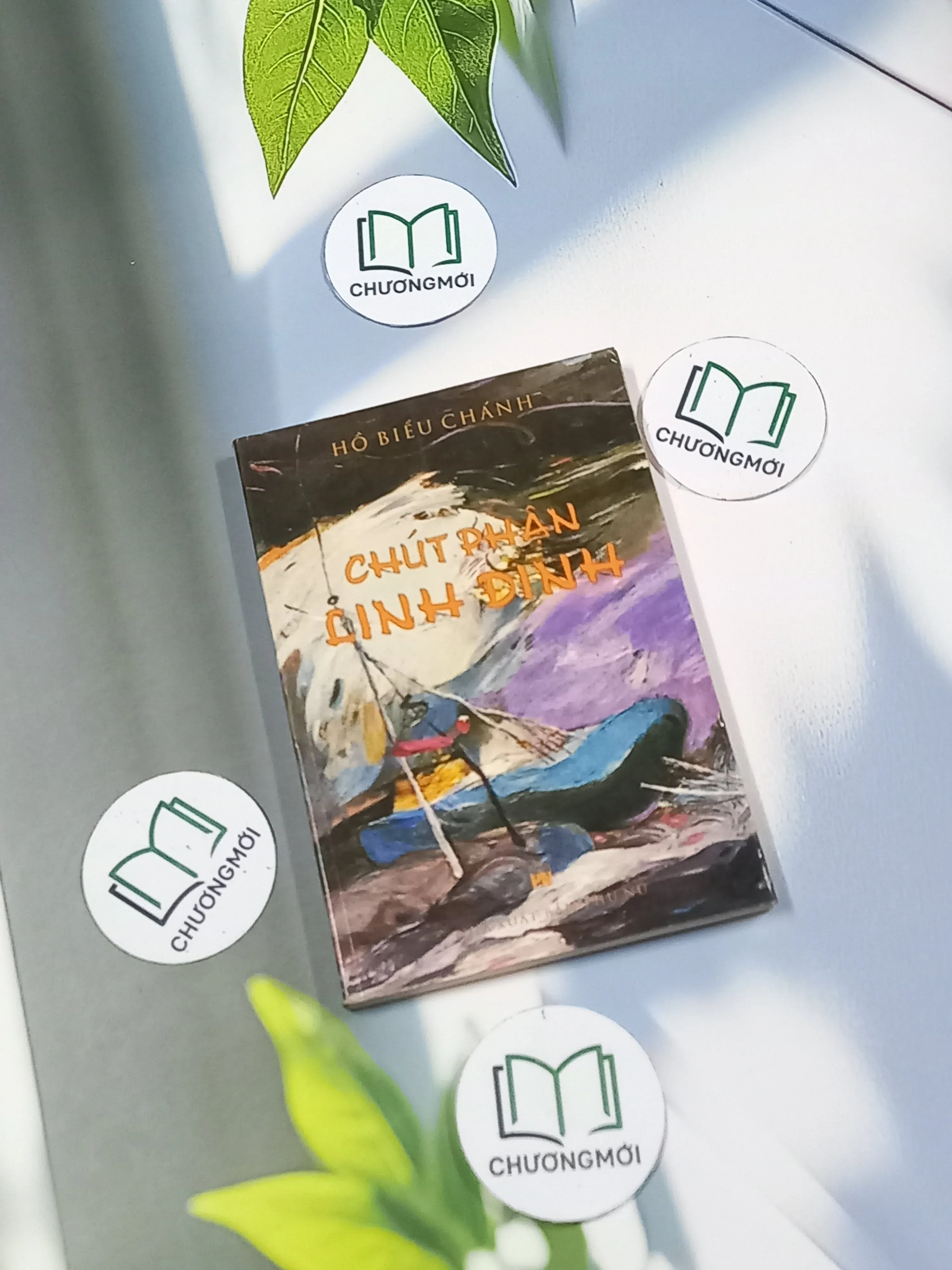 Chúc phận linh đinh - Hồ Biểu Chánh