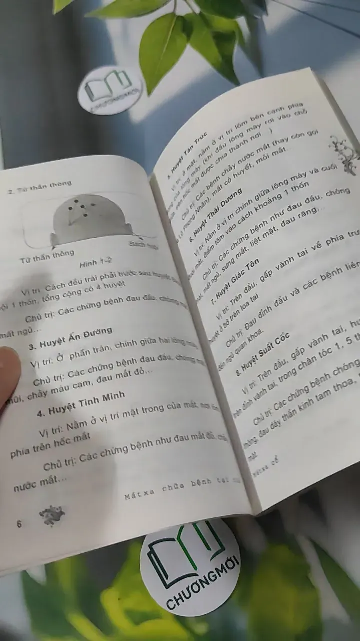 Mát Xa Chữa Bệnh Tại Nhà: Mát Xa Cổ - Thuý Hà 780914