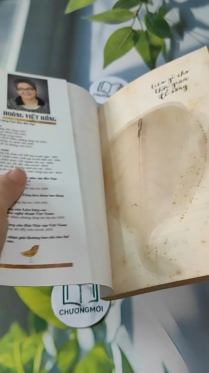 Tiêu Gì Cho Thời Gian Để Sống - Hoàng Việt Hằng 727247