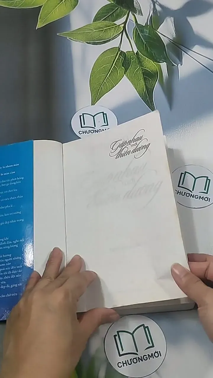 Gặp nhau nơi thiên đường - Tiểu Ni Tử 694914