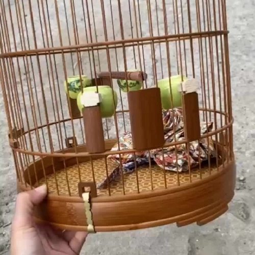 lồng yến . oanh tiêu mi lồng nóc bằng 