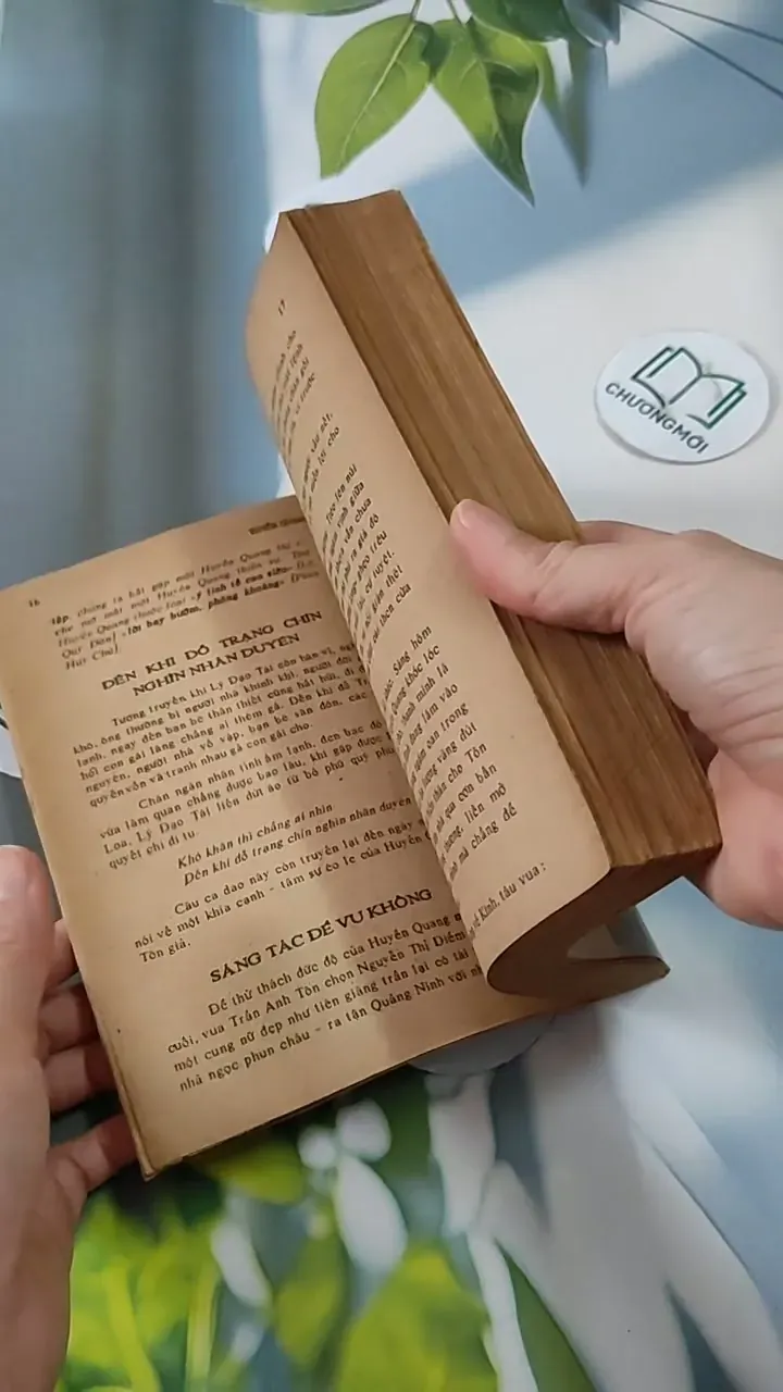 Chân Dung Kẽ Sĩ - Giai Thoại - Thái Doãn Hiểu - Hoàn Liên 713819