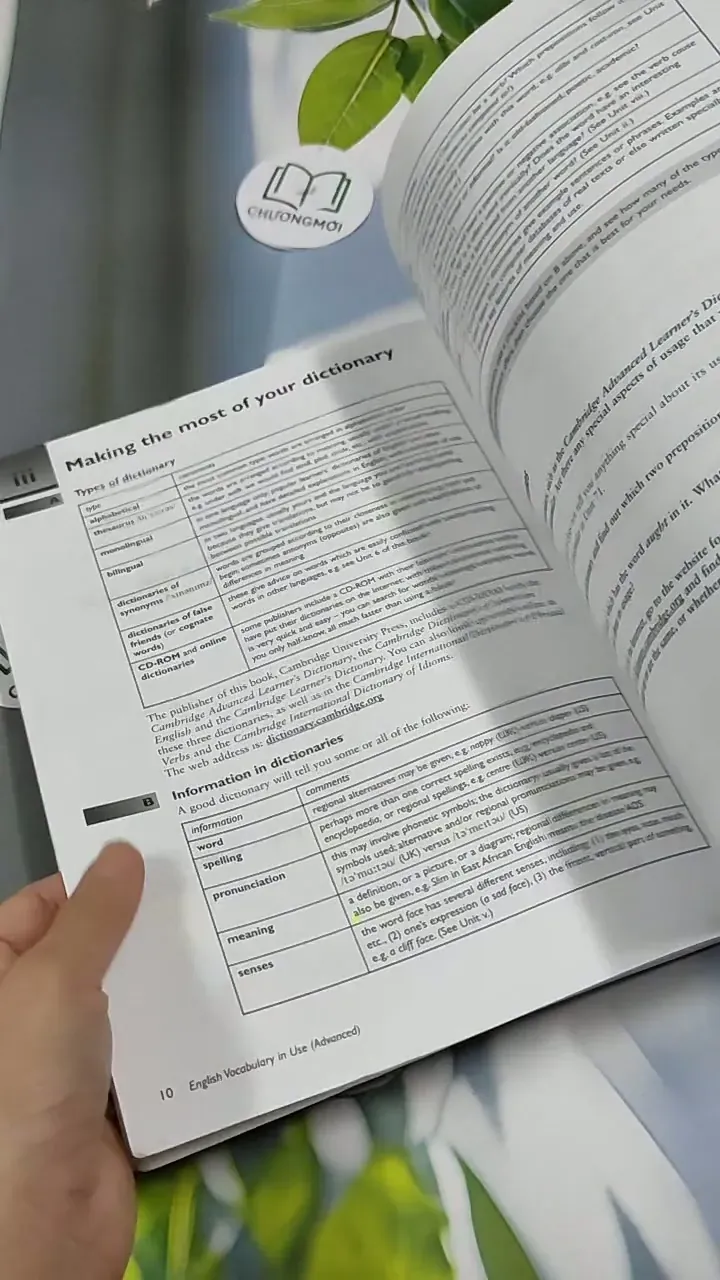 English Vocabulary In Use 713917