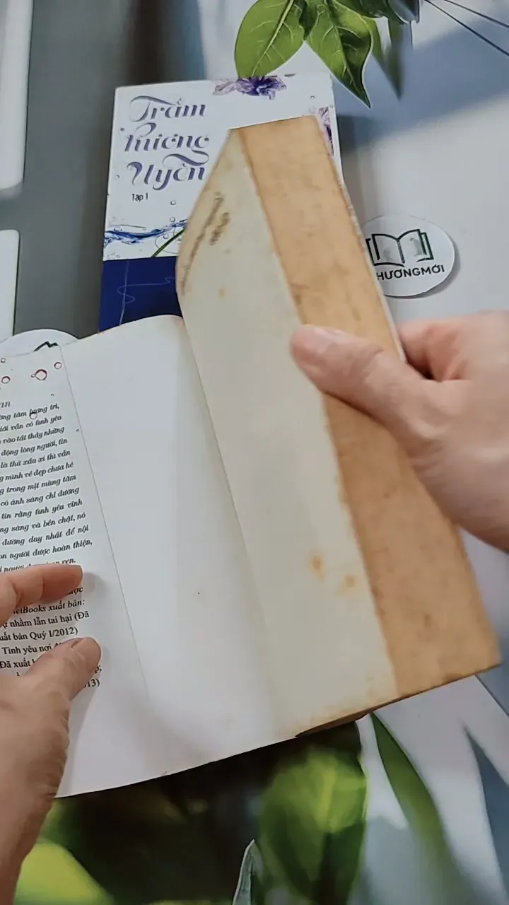 Bộ Trầm Hương Uyển - Bộ Vi Lan 744691