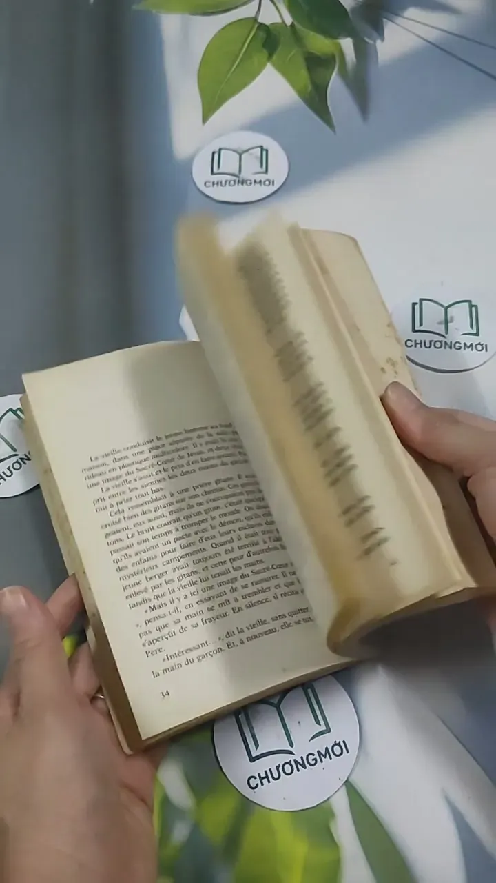 L'Alchimiste - Paulo Coelho 715635