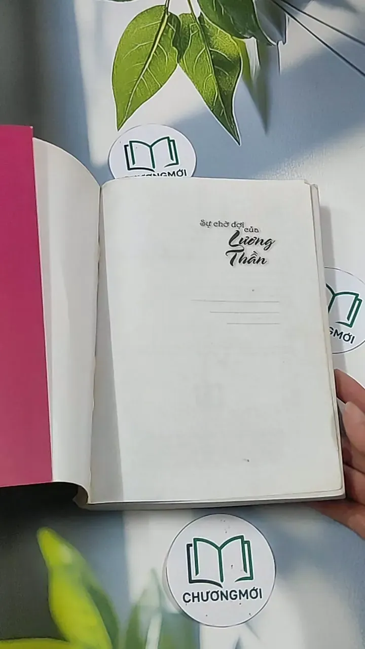 Sự chờ đợi của Lương Hằng - Tinh Không Lam Hề 688685