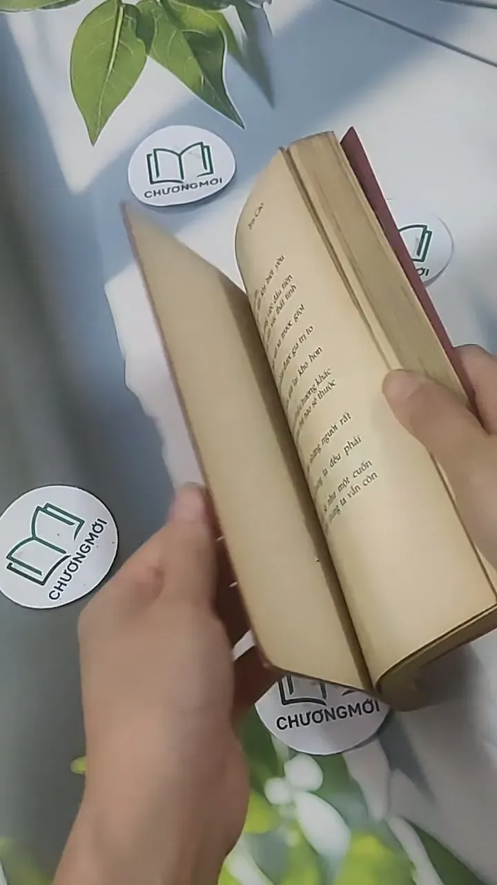 Ai Rồi Cũng Khác - Iris Cao & Hamlet Trương 705553