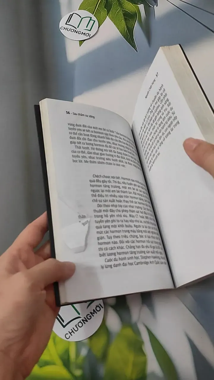 Sâu Thẳm Sự Sống - Nguyễn Chấn Hùng 780796