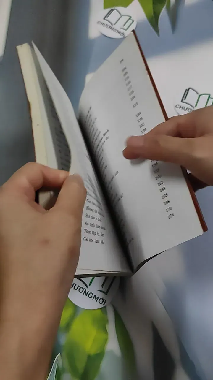 Thông điệp tình huynh đệ - Thích Nhất Hạnh 776241