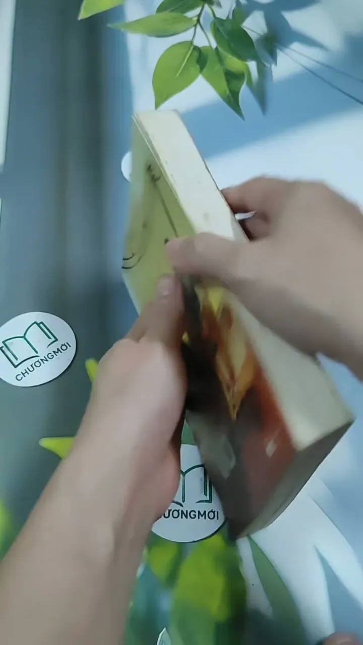 Vợ Chồng - Zeruya Shalev 705725