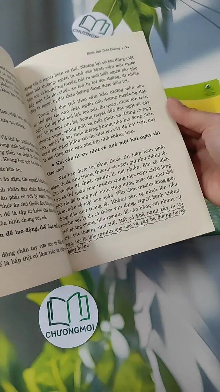 Combo Bệnh Đái Tháo Đường, Thực Đơn Cho Người Bệnh Đái Tháo Đường - BS. Lương Phán 780778