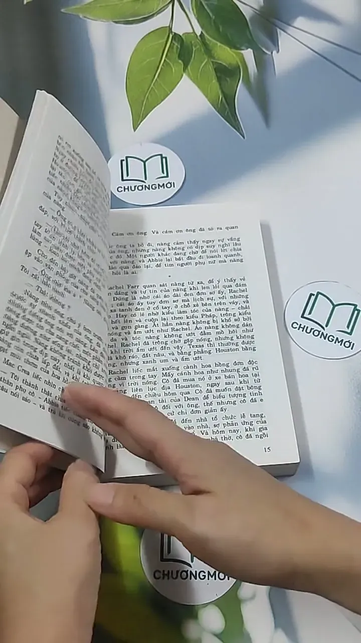 Chị em thù hận 1 695006