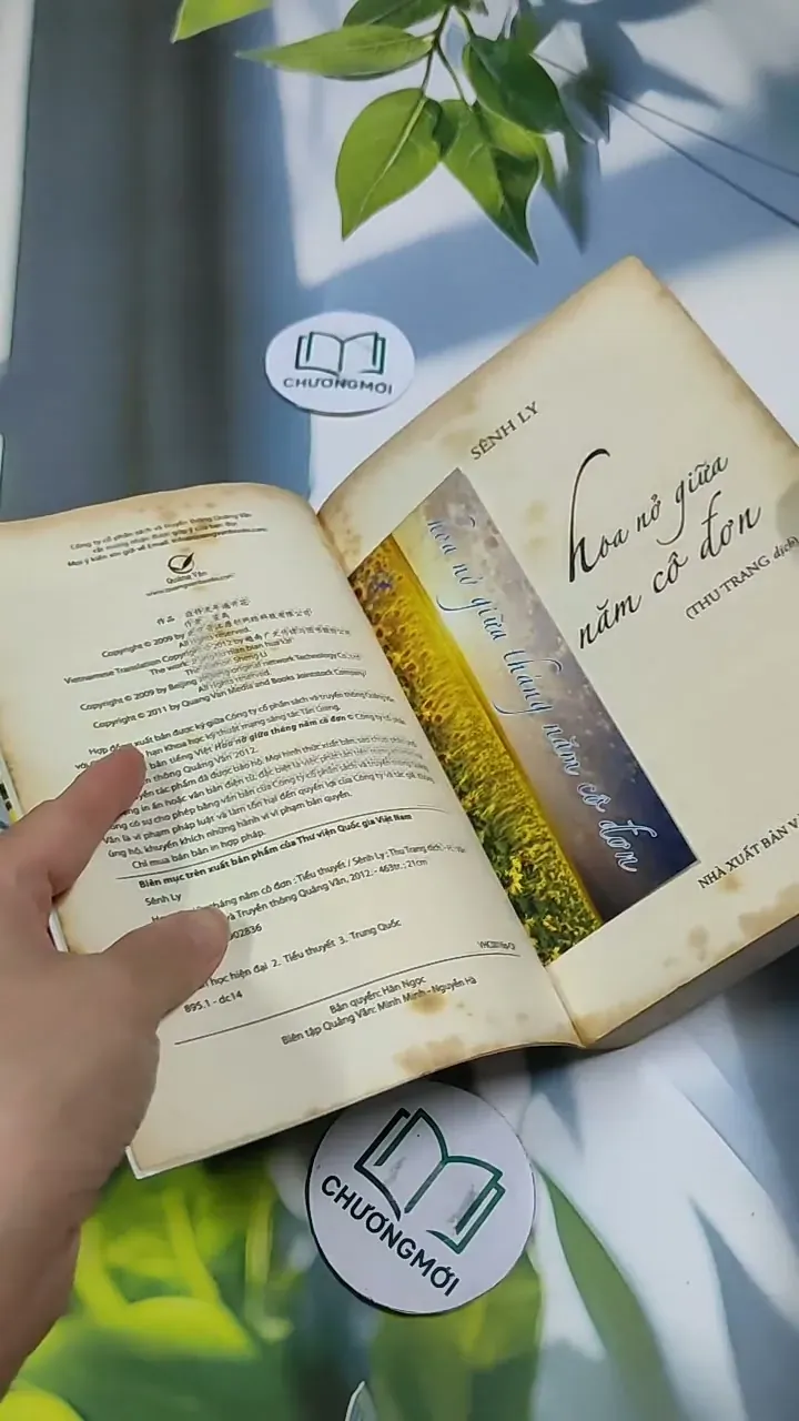 Hoa Nở Giữa Tháng Năm Cô Đơn - Sênh Lý 705743