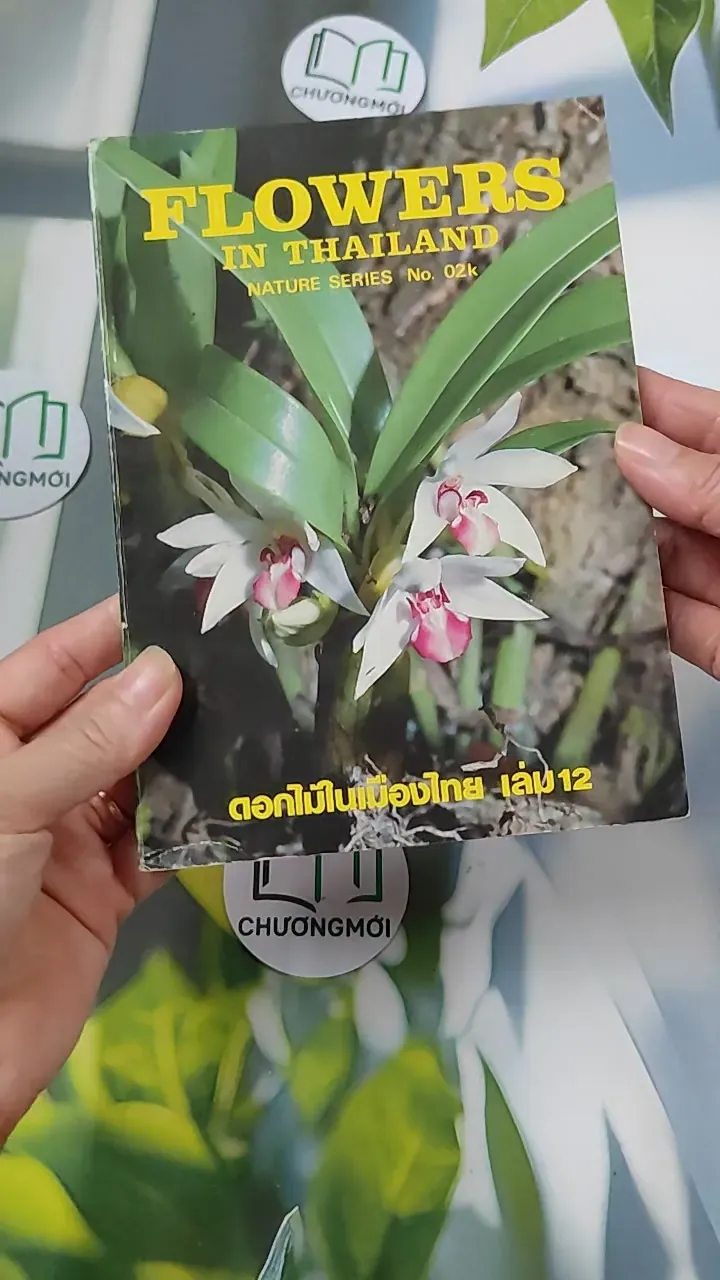 [XƯA] Flowers in Thailand Vol. 12 (1986) - Somsak Sukwong 754504