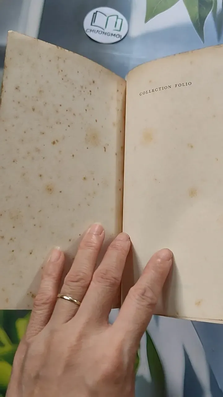 [MIỄN PHÍ BỌC SÁCH] Tomber sept fois, se relever huit - Philippe Labro 754471