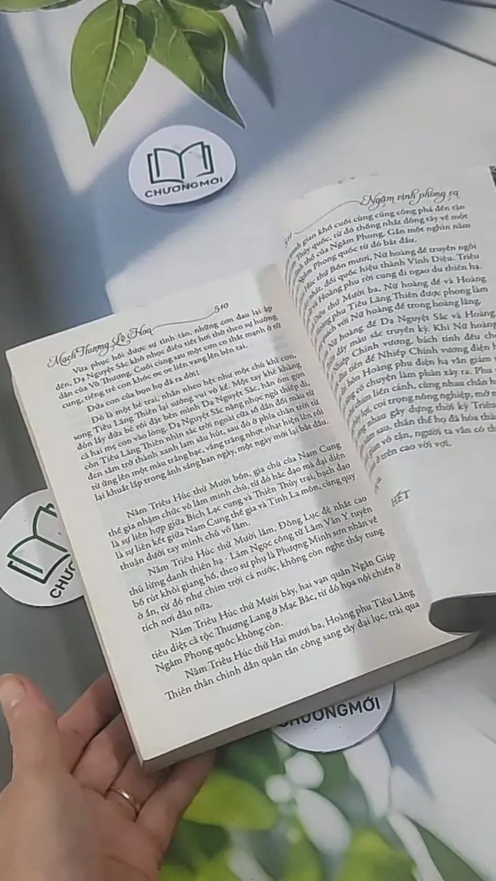 Ngâm Vịnh Phong Ca - Mạch Thượng Lê Hoa 705562