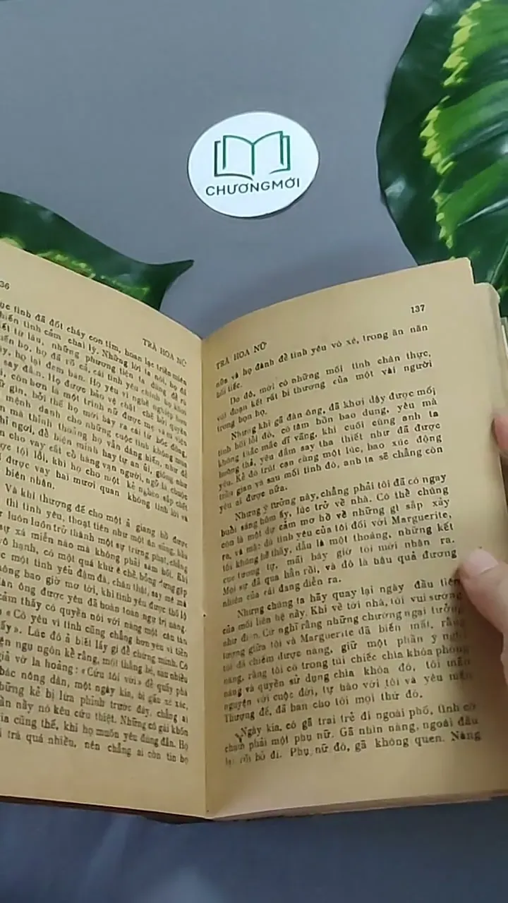 Trà Hoa Nữ 604659