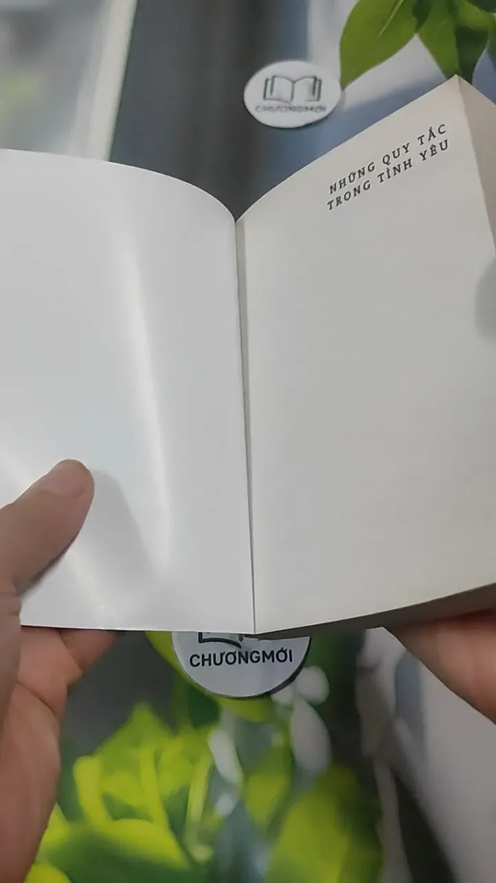 Những Quy Tắc Trong Tình Yêu (Sách bỏ túi) - Richard Templar 727342