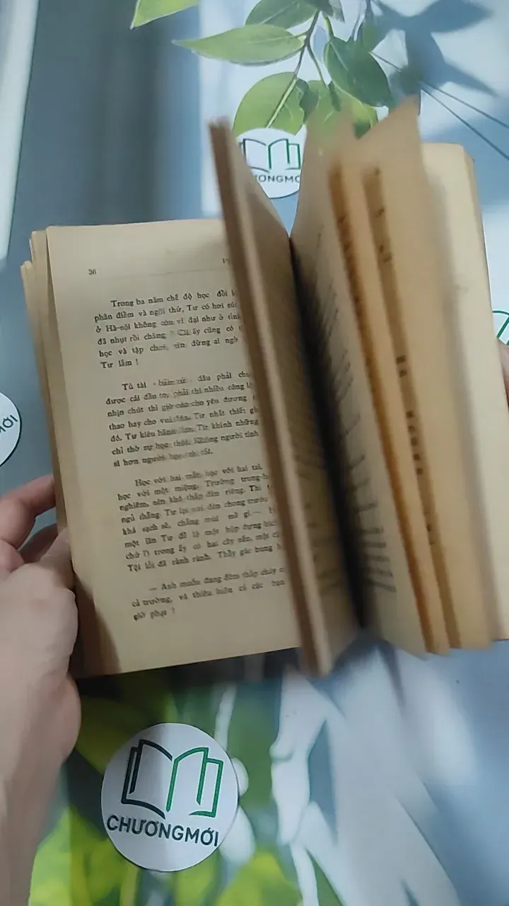 [MIỄN PHÍ BỌC SÁCH] [XƯA] Phấn Thông Vàng (1968) - Xuân Diệu 776042