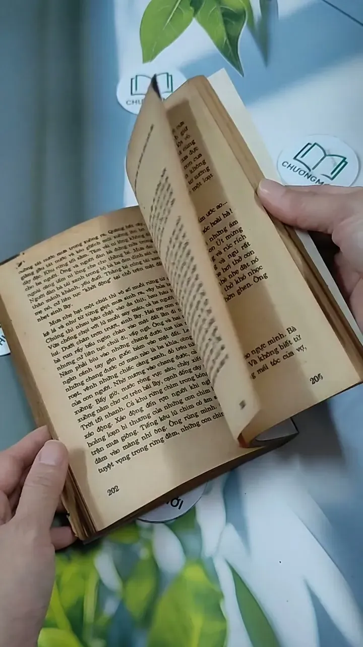 Cuộc Báo Thù Cuối Cùng 713840