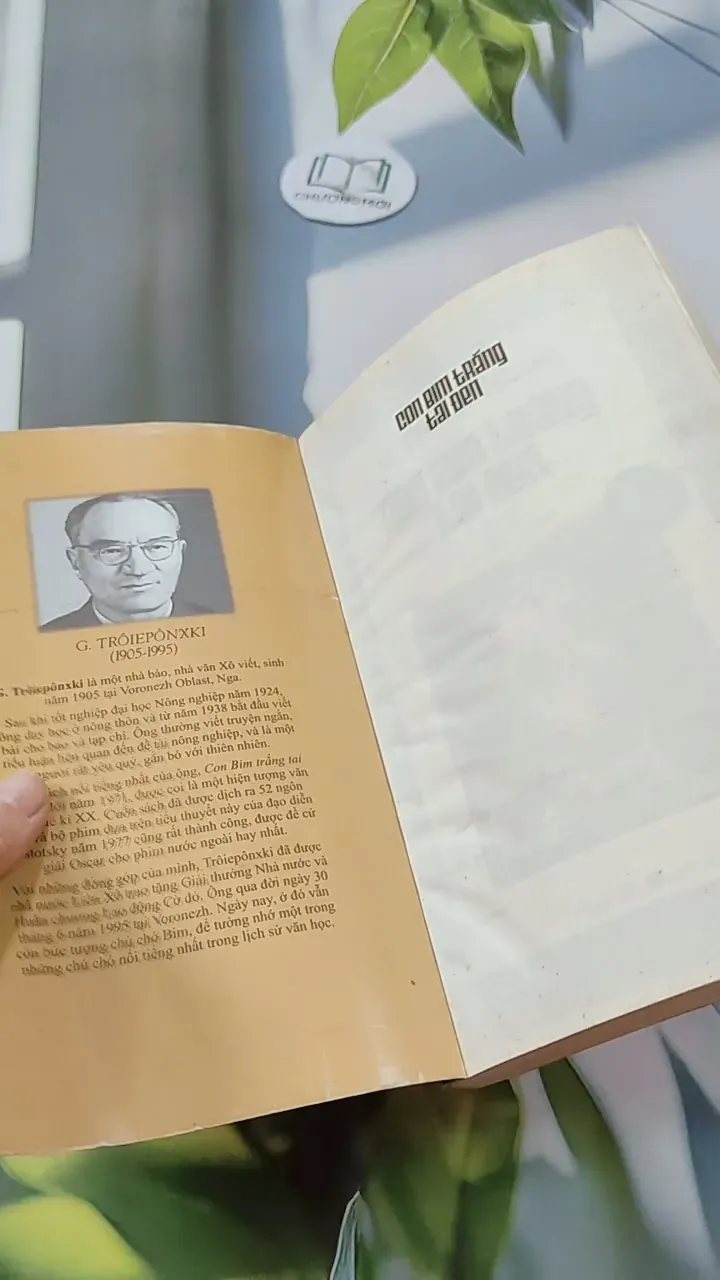 Con Bim Trắng Tai Đen 744686