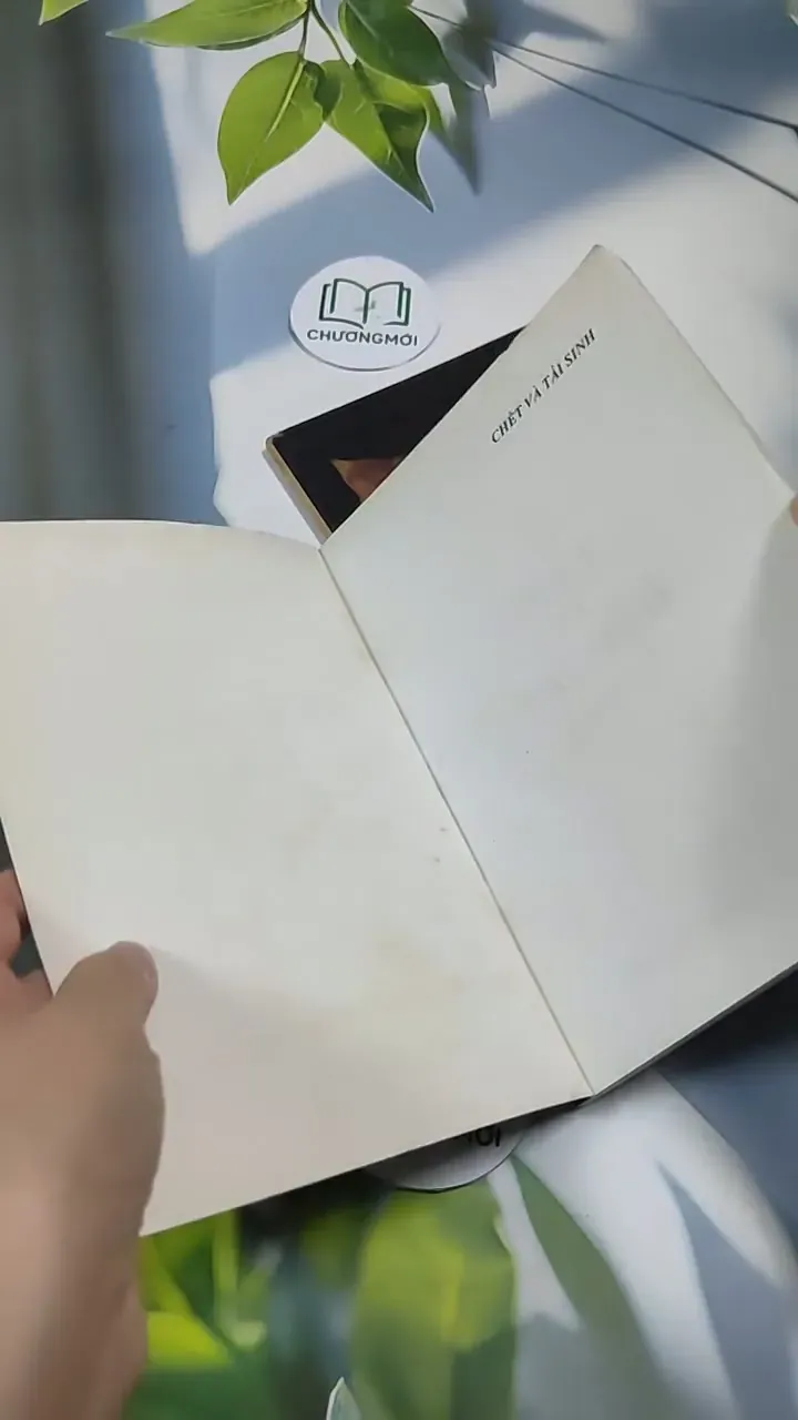 Combo: Chết và Tái Sinh, Mục Tiêu Của Cuộc Sống 707248