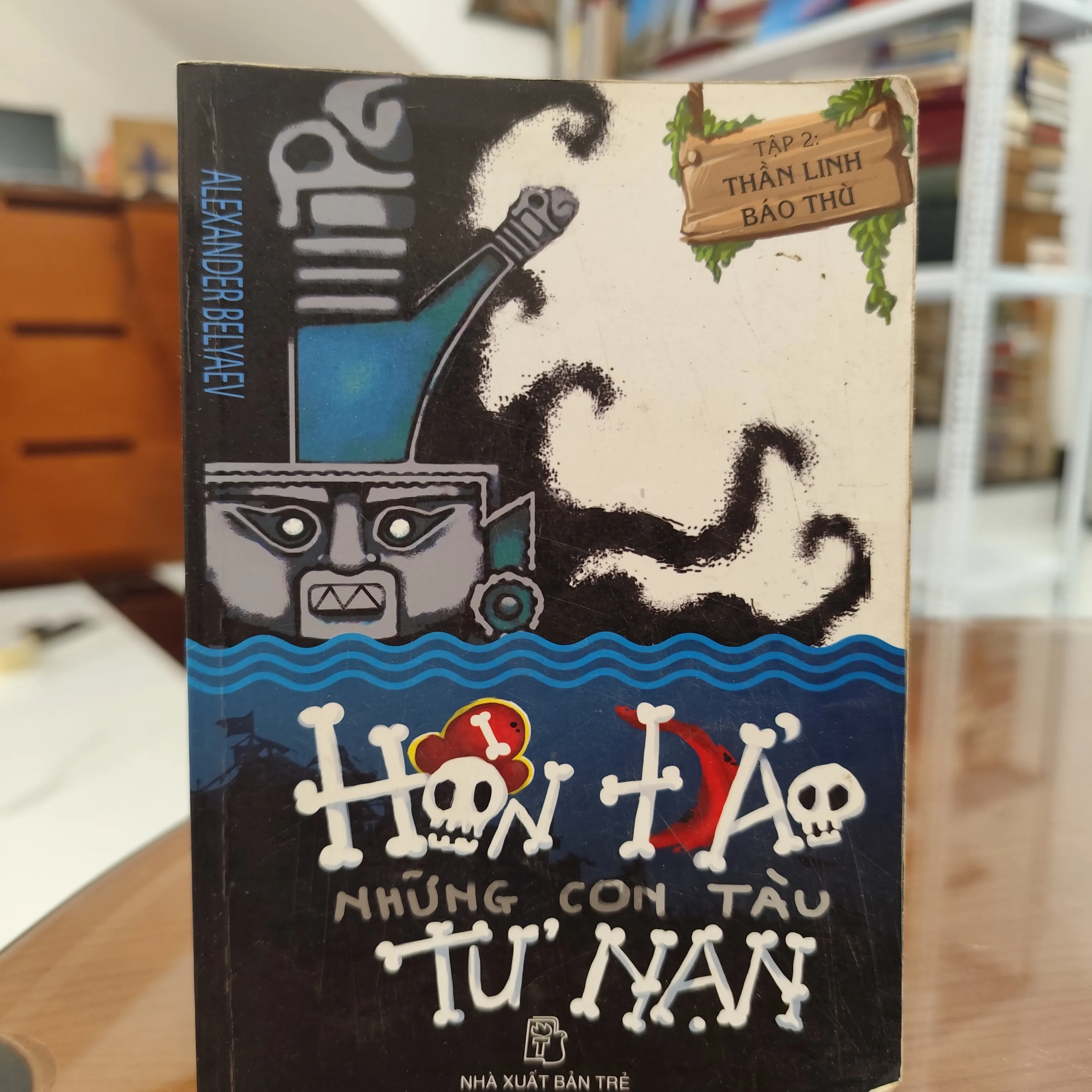 Hỏi đáp những con tàu tử nạn by  - Sách Book Cover - Ngọc Hiển Books