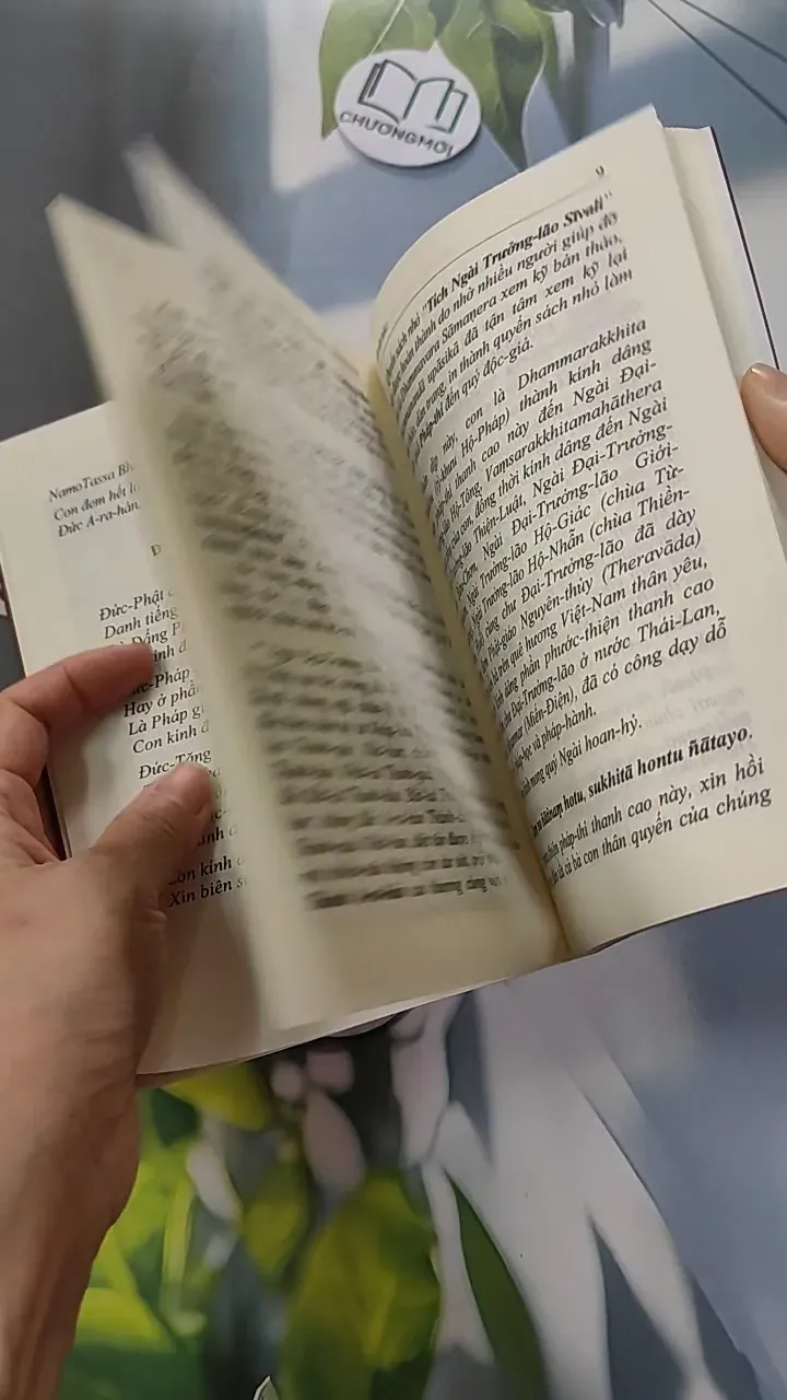 Tích Ngài Trưởng Lão Sivali - Phật Giáo Nguyên Thuỷ 775955