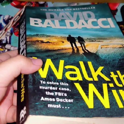 Ngoại văn về bí mật, điều tra phán án Walk the wire by David Baldacci